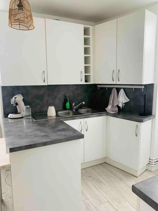 Superbe Appt Meuble Hyper Centre De Gan Apartment Luaran gambar